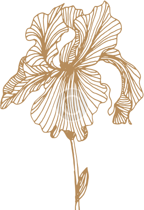 Decor Flower 01 Copyright
