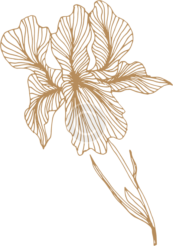Decor Flower 03 Copyright